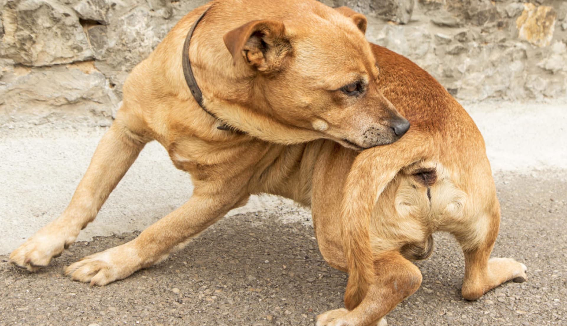 213KB 2001 null null null null null 12 12 2003 null 5581lbNUGRB5TM